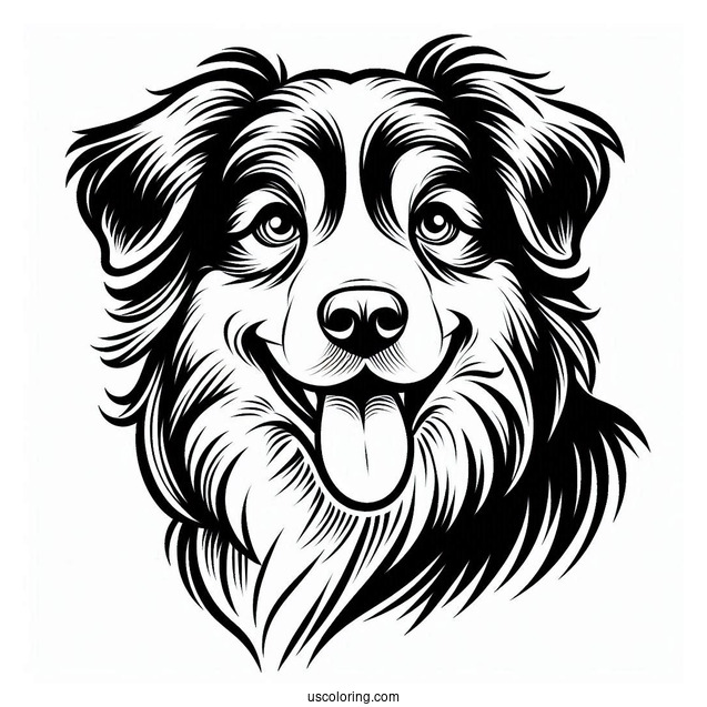 Australian Shepherd Dog With Tongue Out