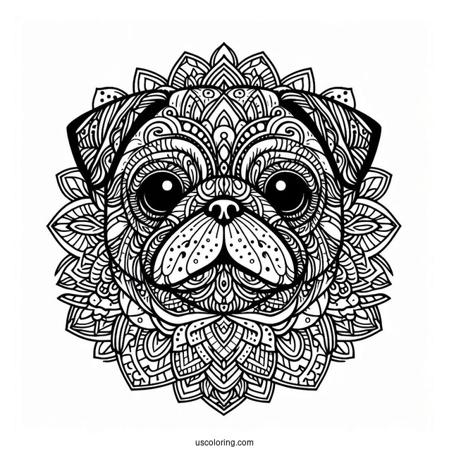 Intricate Mandala Pug Coloring Page Face For Adults