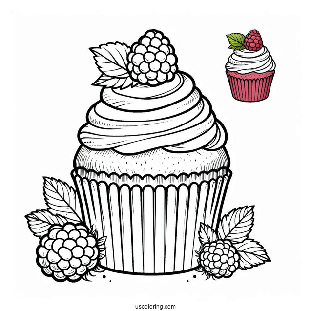 Easy Cupcake With Raspberry To Color