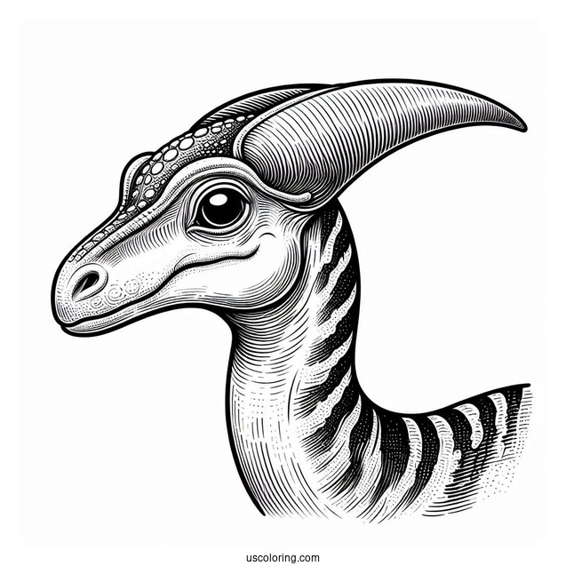 Simple Close Up Of Parasaurolophus Coloring Page