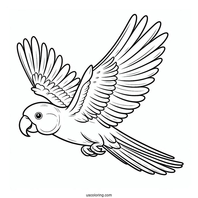 Simple Outline Of a Parrot Flying
