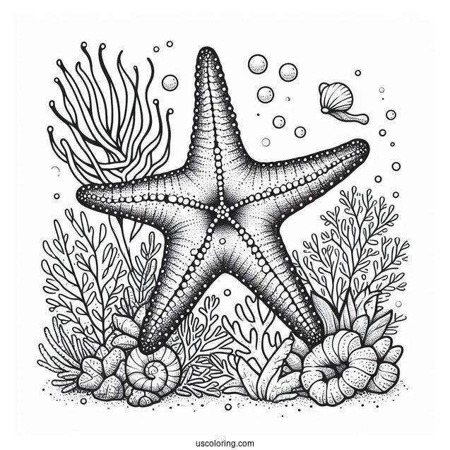 Large Starfish Coloring Page In Coral Reef For Kids