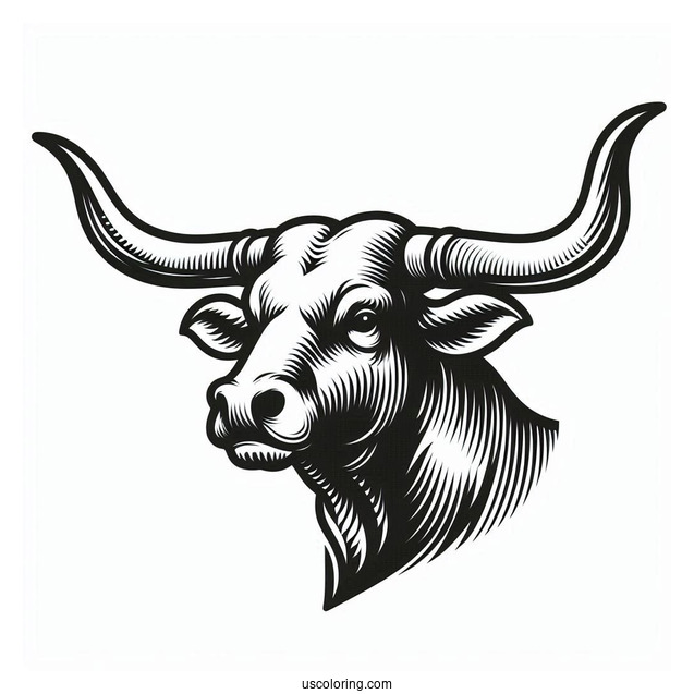 Texas Longhorn Bullhead Coloring Sheet