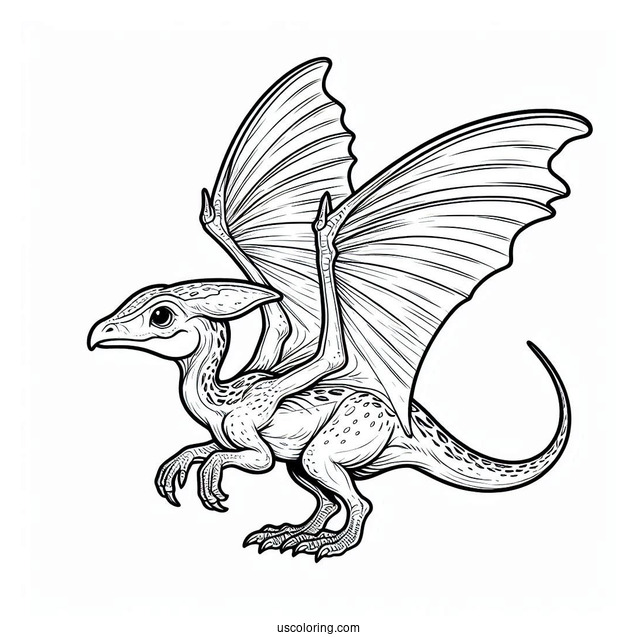Pterodactyl Coloring Page Hatchling For Kids