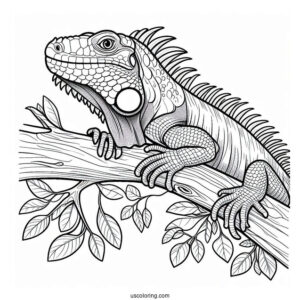 Lizard Coloring Page of Iguana With Head Up On Tree Branch