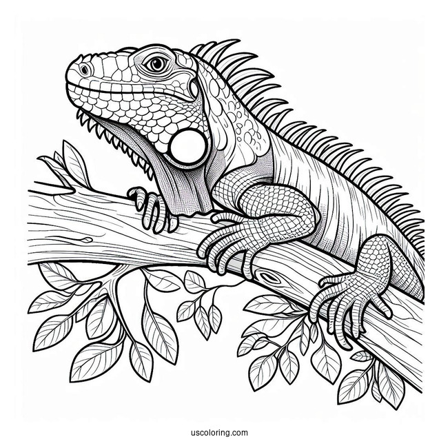 Lizard Coloring Page of Iguana With Head Up On Tree Branch
