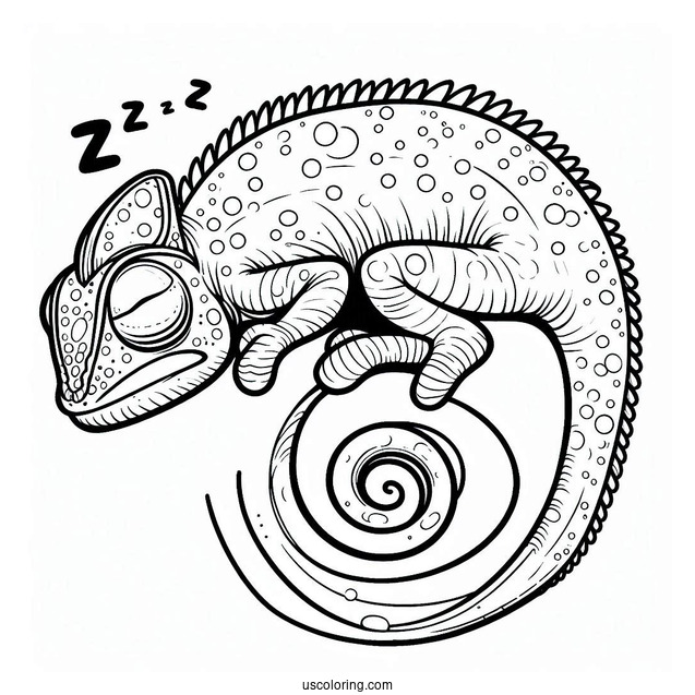 Lizard Coloring Page of Chameleon With Curled Tail Sleeping