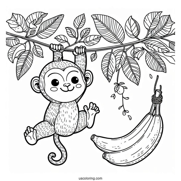 Little Monkey Hanging On A Vine Beside A Cool Banana Coloring Page