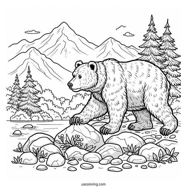 Bear Coloring Page Walking In Rocky Terrain