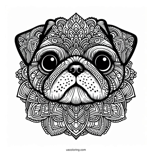 Intricate Mandala Pug Coloring Page Face For Adults