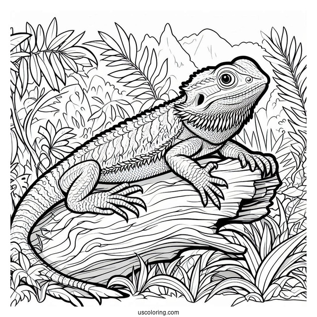 Lizard Coloring Page of Bearded Dragon Lizard In Jungle