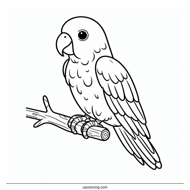 Simple Outline Of Parrot To Color
