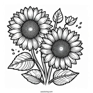 Two Smiling Sunflowers To Color In