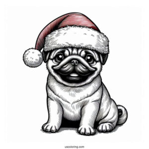 Pug Wearing Santa Hat During Christmas