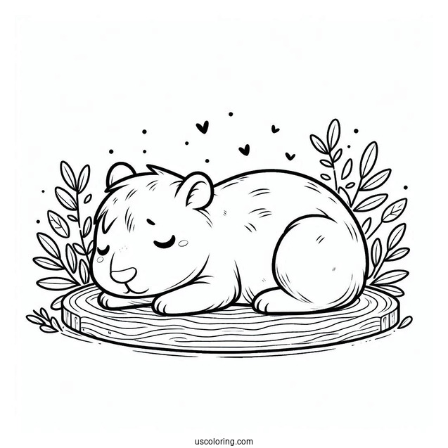 Kawaii Chibi Capybara Coloring Page Napping For Kids