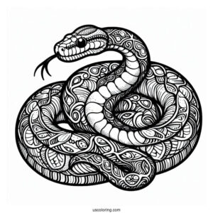 Large Python Snake