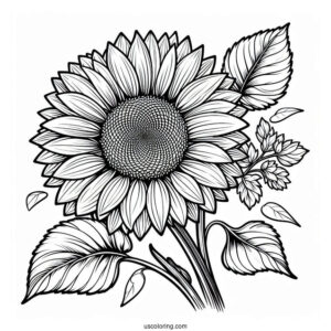 Big Sunflower Coloring Sheet