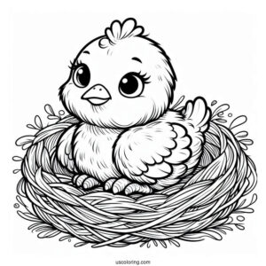 Adorable Chicken Sitting On Nest