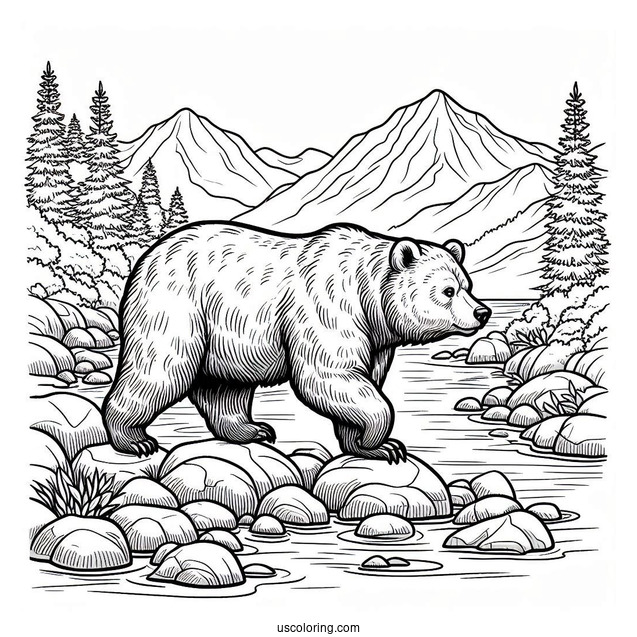 Bear Coloring Page Walking In Rocky Terrain