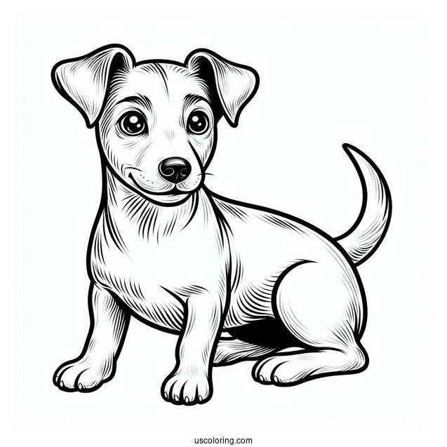 Jack Russell Dog With Perked Ears Coloring In