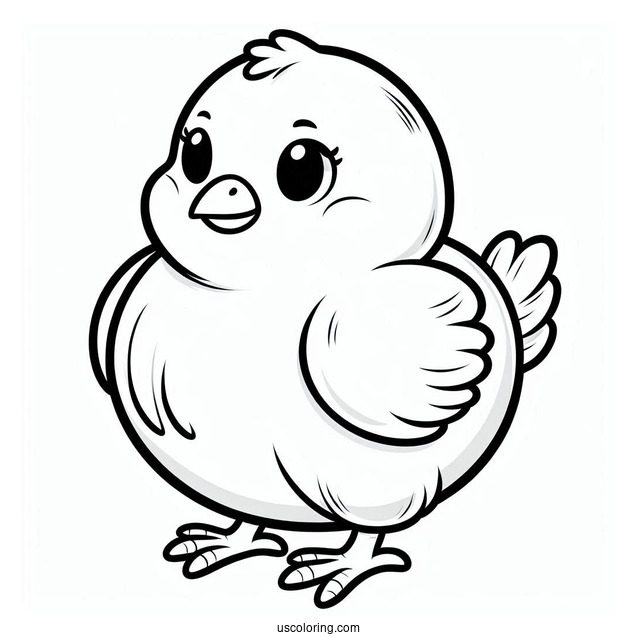 Plump Baby Chicken Coloring Page
