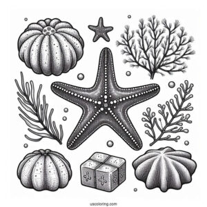Cushion Starfish Coloring Page Next To Sea Sponges
