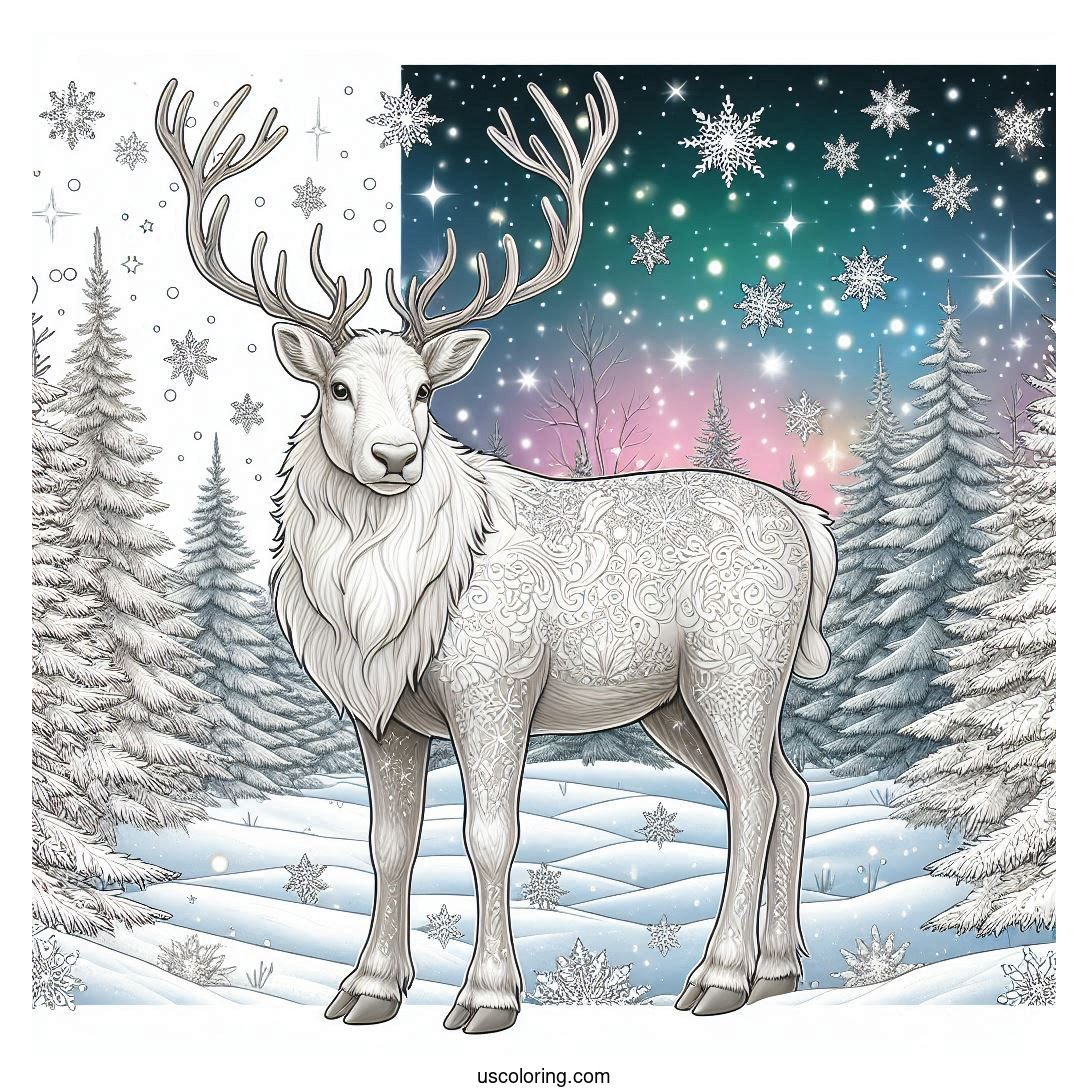 Reindeer Coloring Pages Featured Image