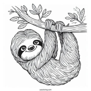 Adult Sloth Smiling And Hanging From Tree