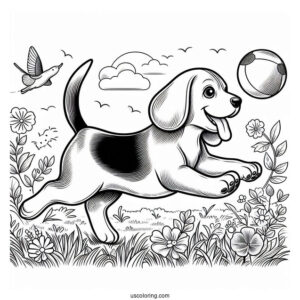 Beagle Chasing Ball To Color