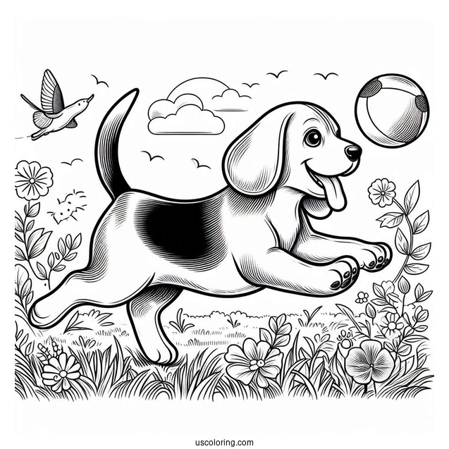 Beagle Chasing Ball To Color