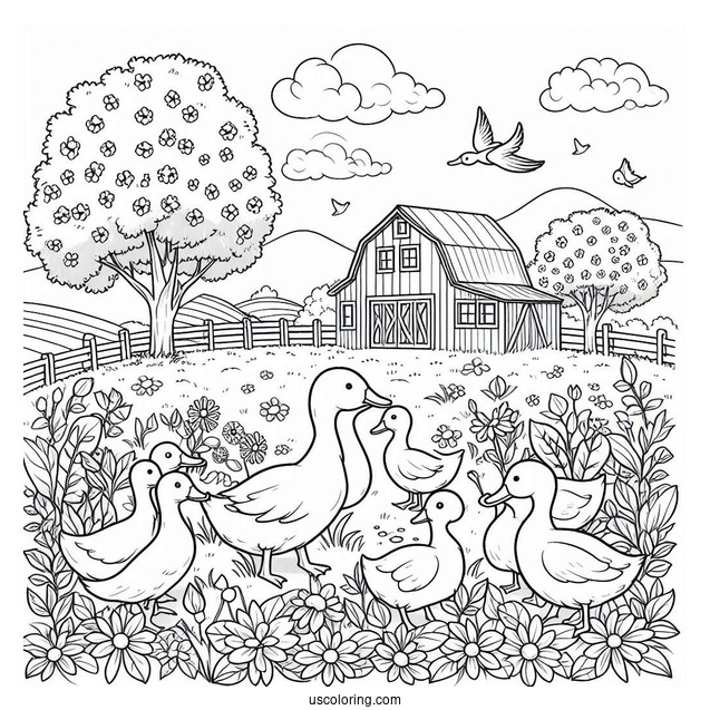 Farm Ducks Walking Through Flower Field