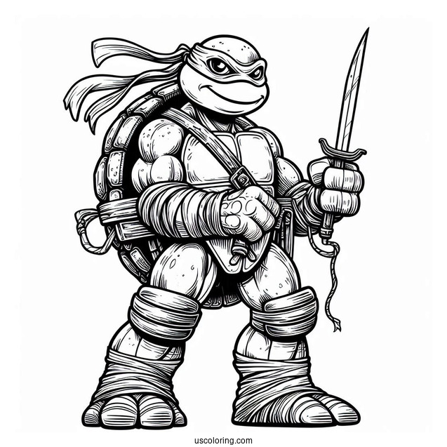 Leonardo, Donatello, Raphael, _ Michaelangelo Ninja Turtles