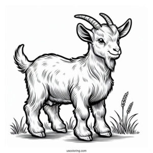 Farm Bred Goat To Color For Kids