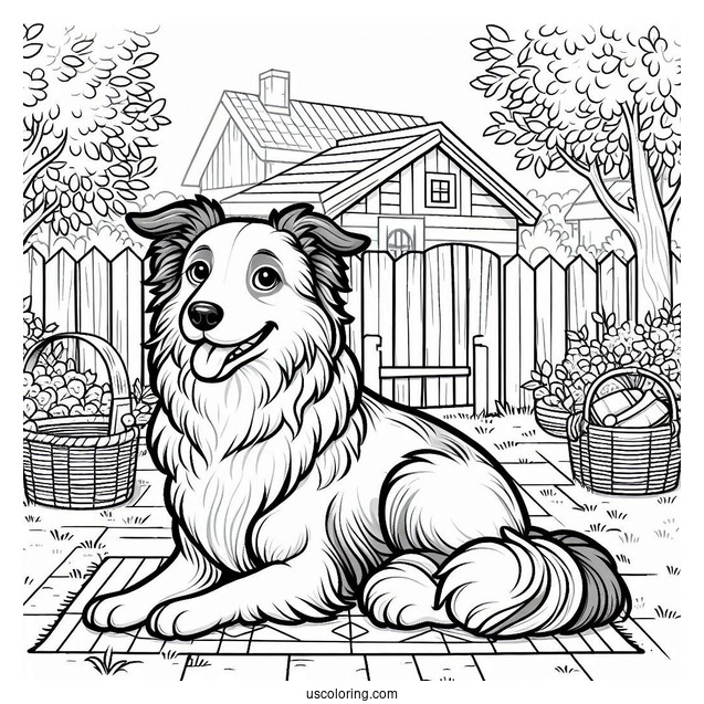 Border Collie Dog In Backyard Coloring Sheet