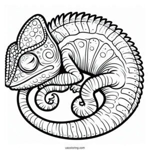 Lizard Coloring Page of Chameleon With Curled Tail Sleeping