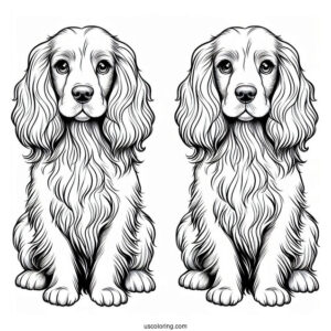 Pretty Spaniel Dog To Color