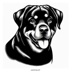 Rottweiler Dog Coloring Page