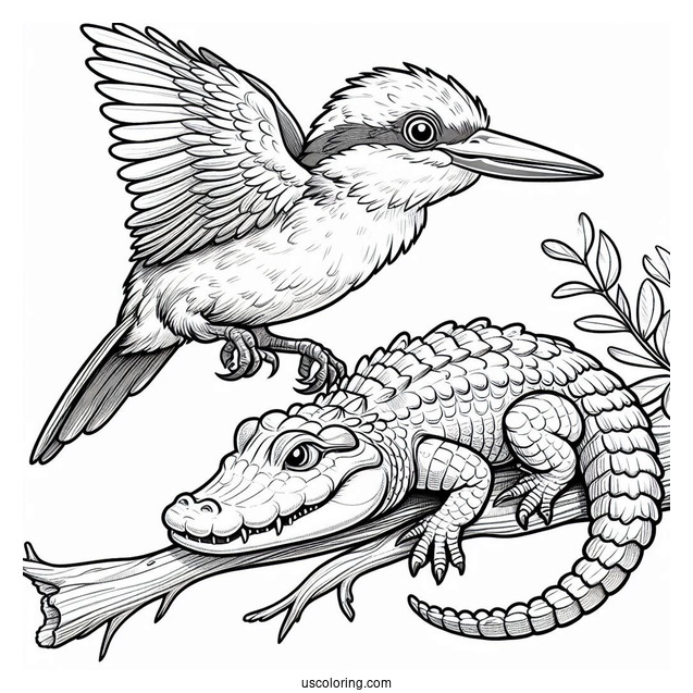 Rio Birds On Stop Of An Alligator