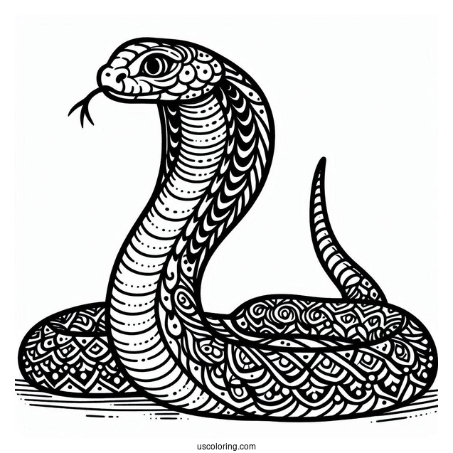 Indian Cobra Snake To Color In