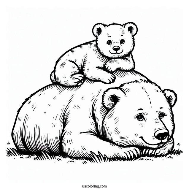 Bear Coloring Page Of Cub Lying On Top Of Mama Bear