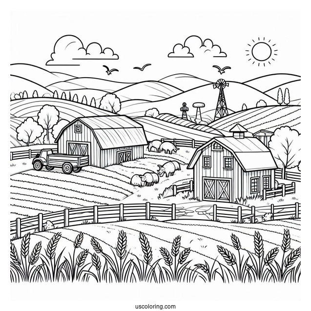 Farm Fields To Color