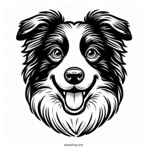 Playful Border Collie Puppy Face