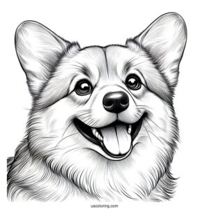Realistic Corgi Coloring Page Smiling With Tongue Out