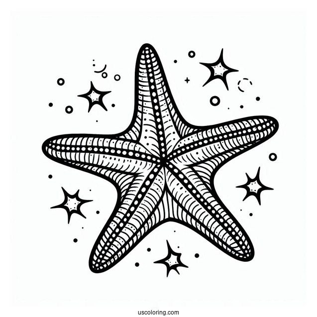 Easy Outline Of Starfish Coloring Page