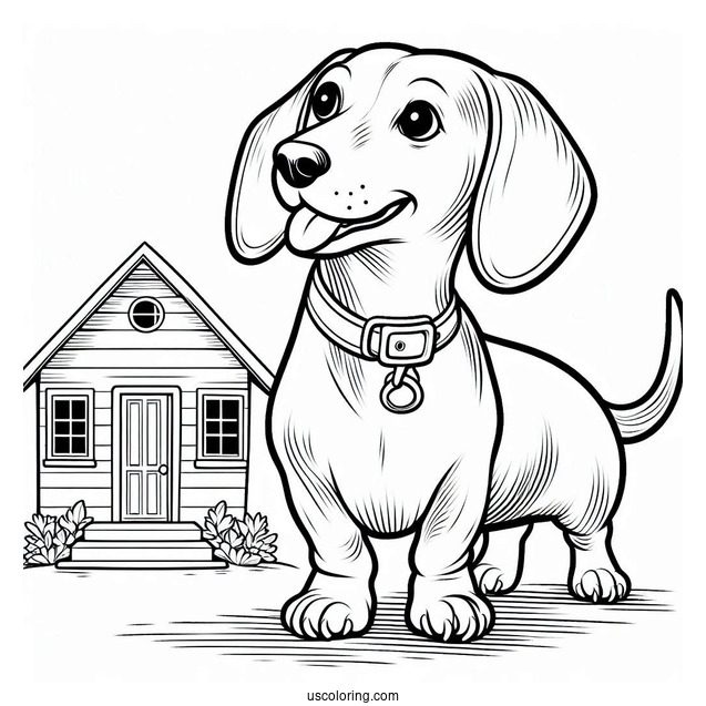 Dachshund Dog Outside Of House