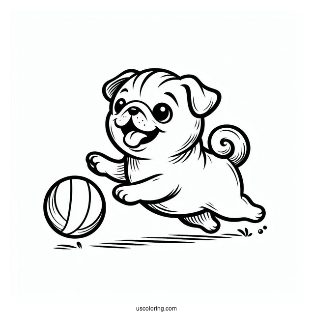 Happy Pug Chasing After Ball