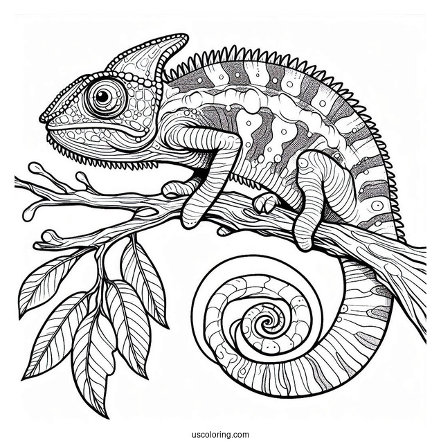 Lizard Coloring Page of Jackson's Chameleon On Tree Branch