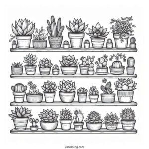 Shelves Full Of Cute Succulent Coloring Page