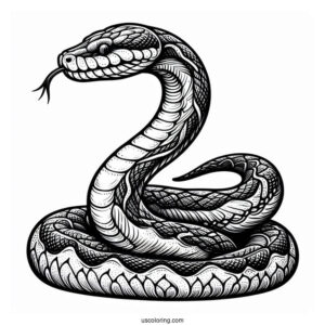 Large Python Snake