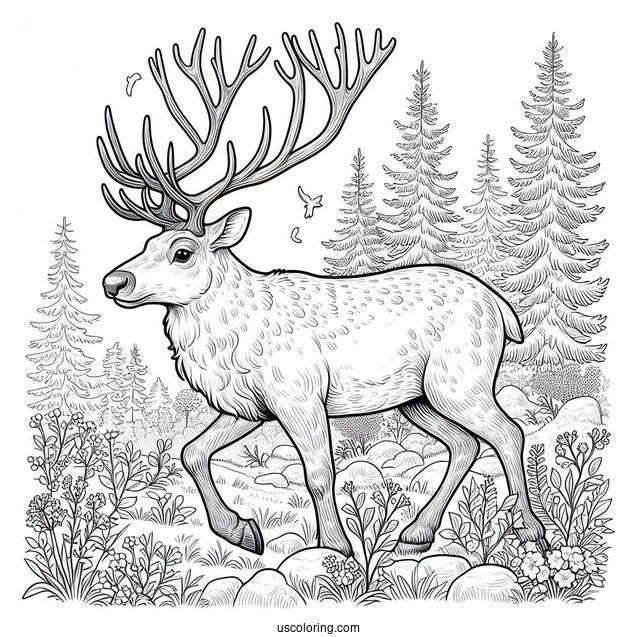 Detailed Reindeer Walking In The Wild To Color